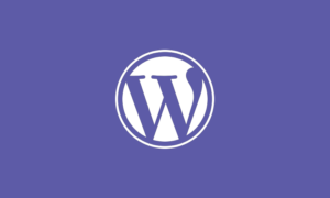 How to Create a WordPress Custom Widget