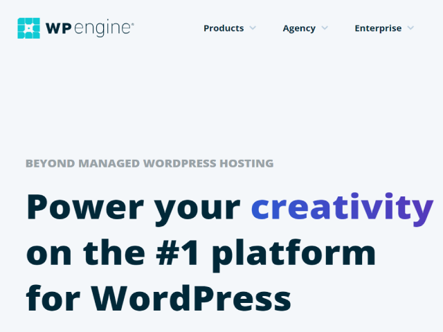 The Top WordPress Hosting Providers in 2021 - WPEngine